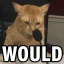 WOULD