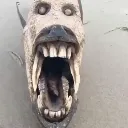 weirdfish