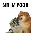 doge_poor Discord Emoji