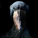 the