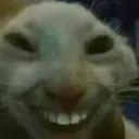 XDD