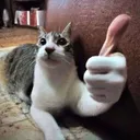 111