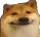 Doge