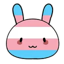 Transbunny