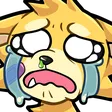 wdingCRY wdingCRY