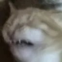 disgustin