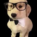fancydog