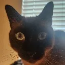 Anger