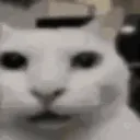 emoji_52
