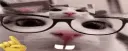 nerd_cat nerd_cat
