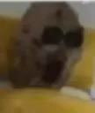 ricebear