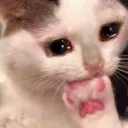 tastyfootcry