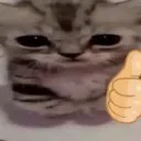 catokcute