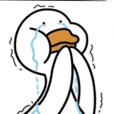 Imasedduck
