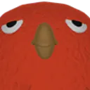 chumkychirpo