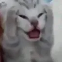 AAAAAAAAAAAAUWHDJJGSHWAAAAAAAAES