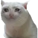 sadKoT