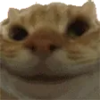 emoji_71