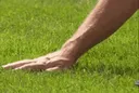 touchgrass