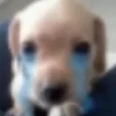 Sad Doggo Sad_doggo Discord Emoji