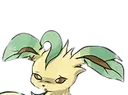 LeafeonAnnoyed
