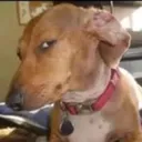 susfresh Discord Emoji