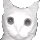 cateyes