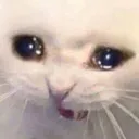 aaaaa