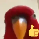 birb_approves