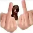 FUCKYOUTIMES2