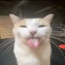 bleh