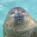 emoji_20