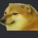 sad_dogo