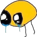 crie