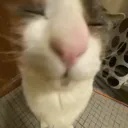 squint_soggy