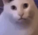 HUHt