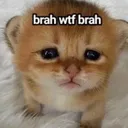 brahwtfbrah