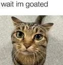 waitimgoated