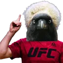 corvus