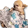 sleepylude