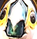 nothoughtsjustborb
