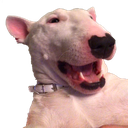 pogwalter Discord emoji