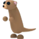 MeerKat