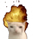 catexplode