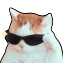 catCool_p2u Discord Emoji