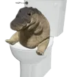 gatorShits gatorShits