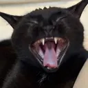 rahhh