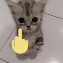 middlefinger middlefinger