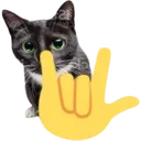 rockoncat