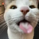 BLEHHHHHbuthesgonnalickyou